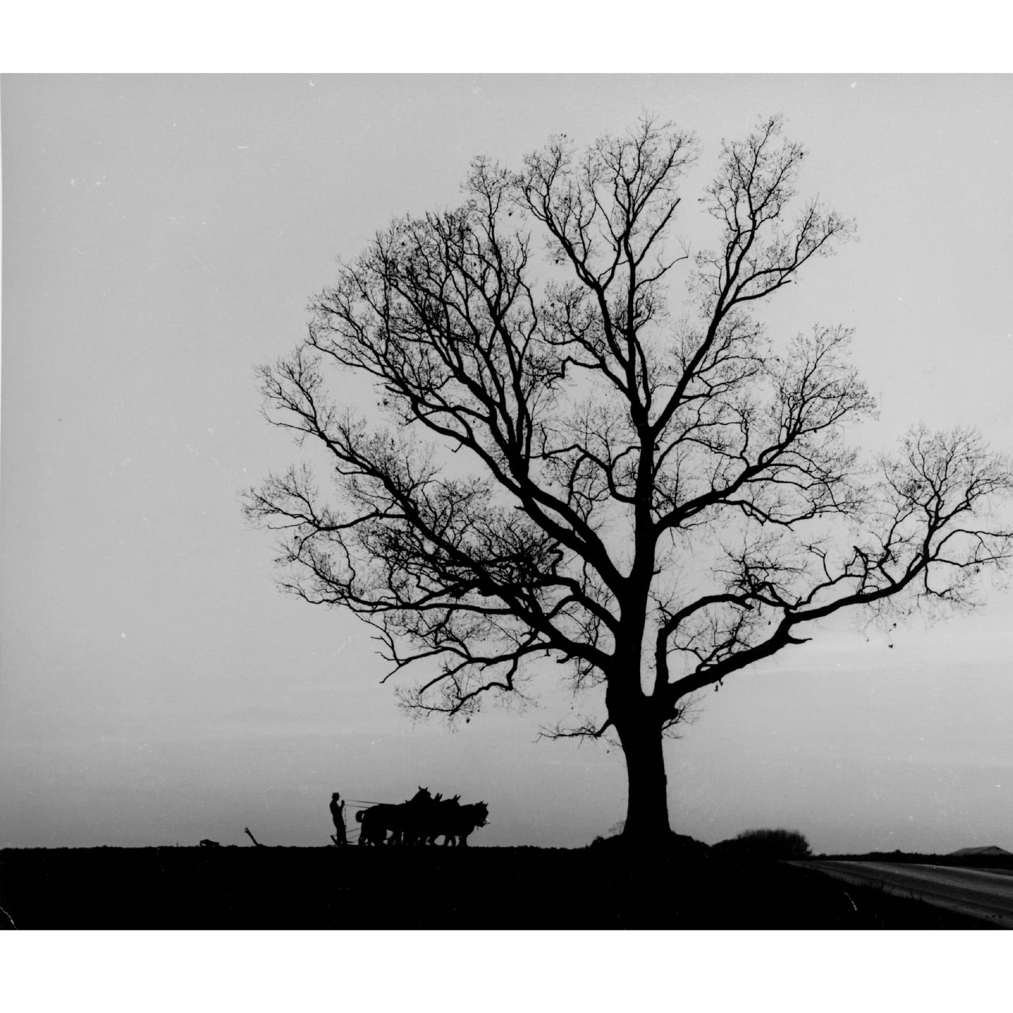 Just Passing Through