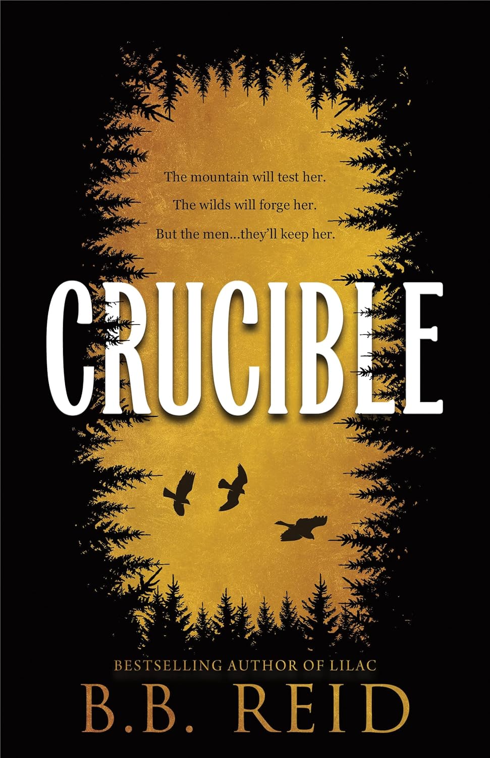 Crucible (USED)