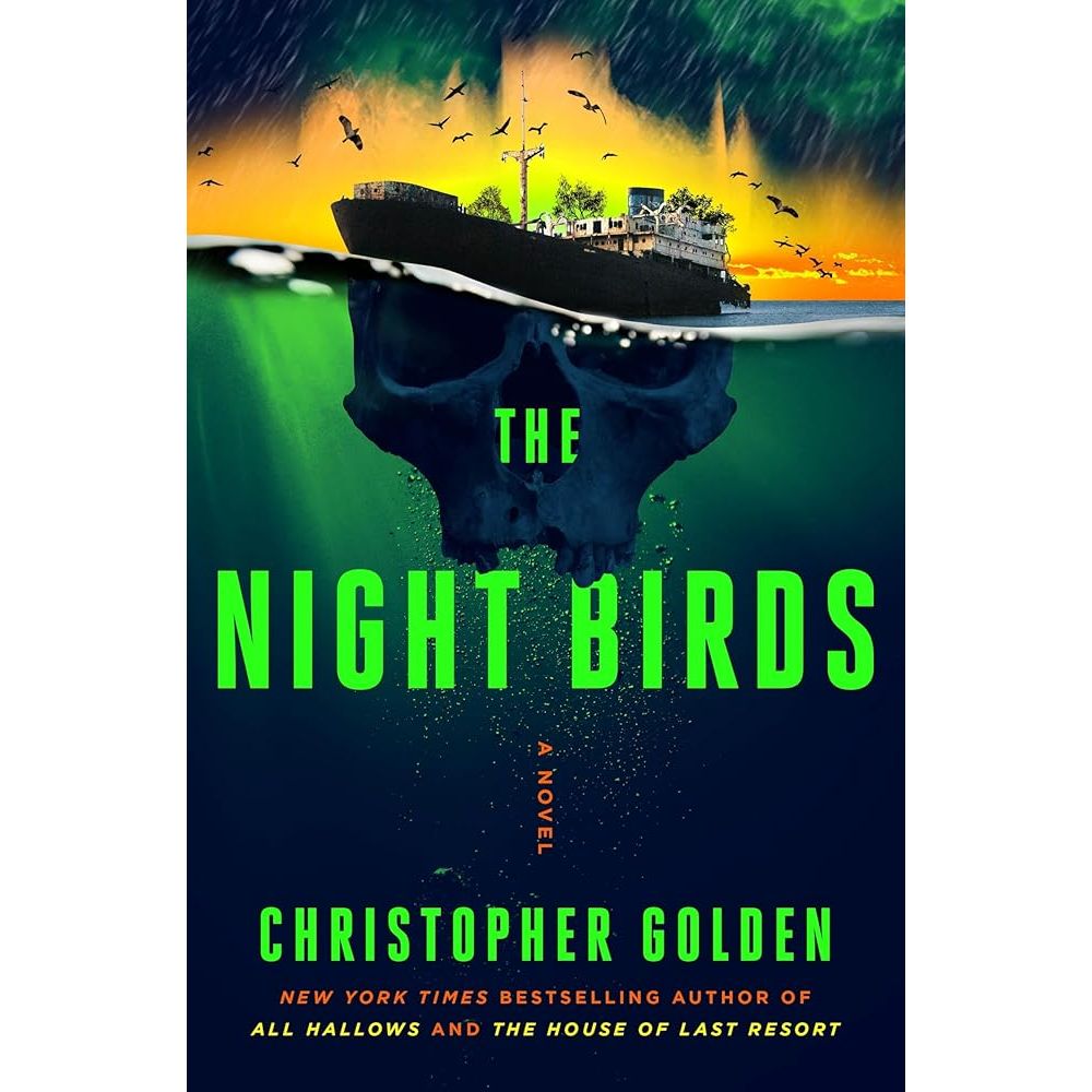 The Night Birds: A Novel cover image