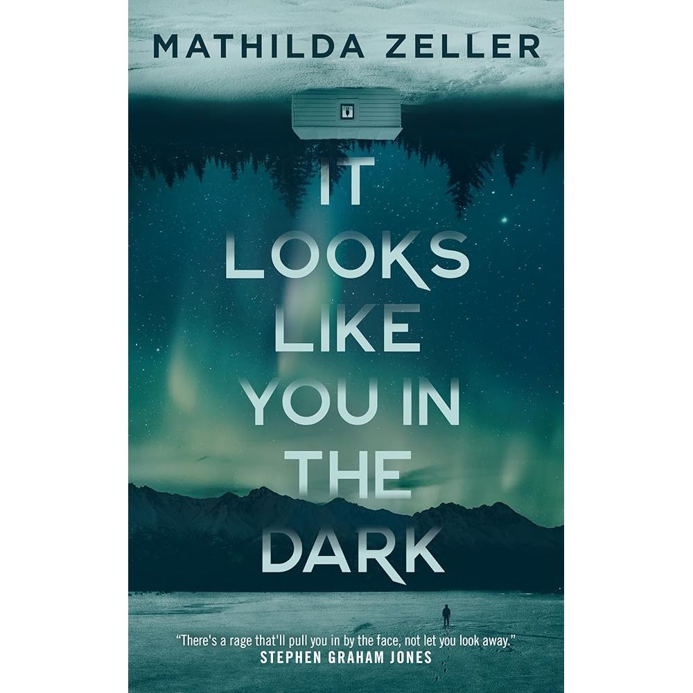 It Looks Like You in the Dark cover image