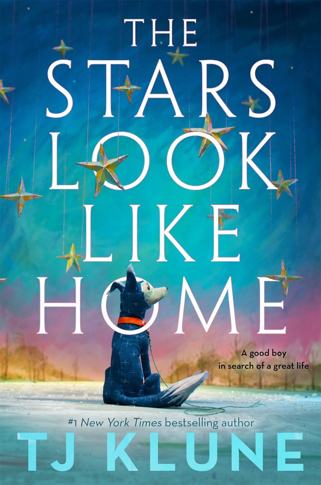 PRE-ORDER The Stars Look Like Home