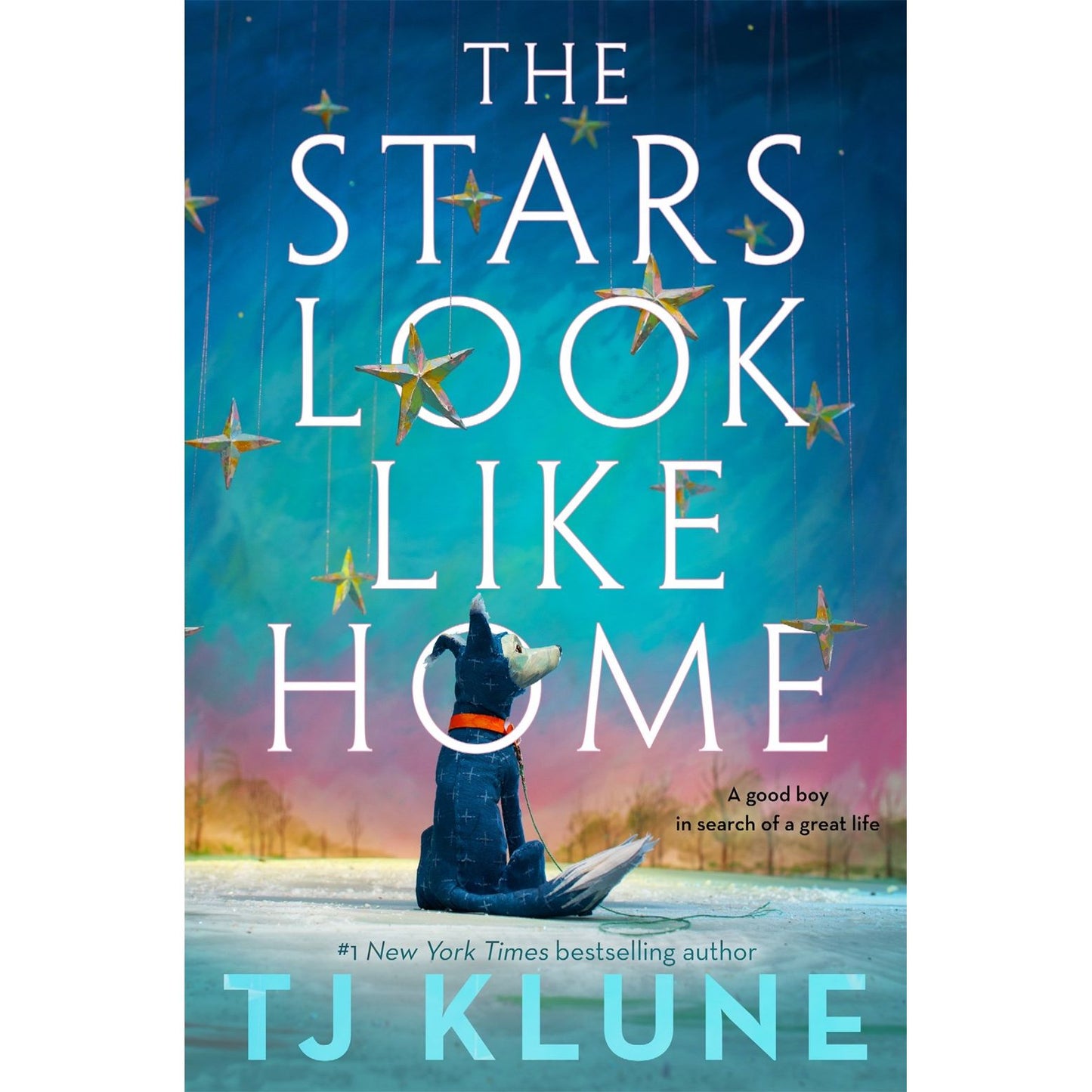 PRE-ORDER The Stars Look Like Home