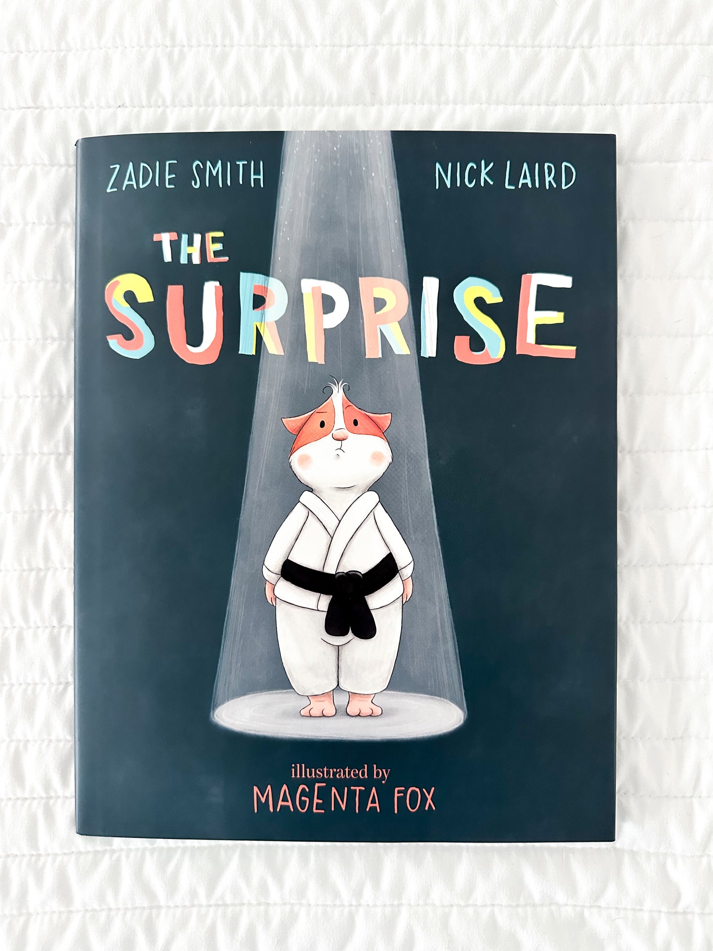 The Surprise by Zadie Smith