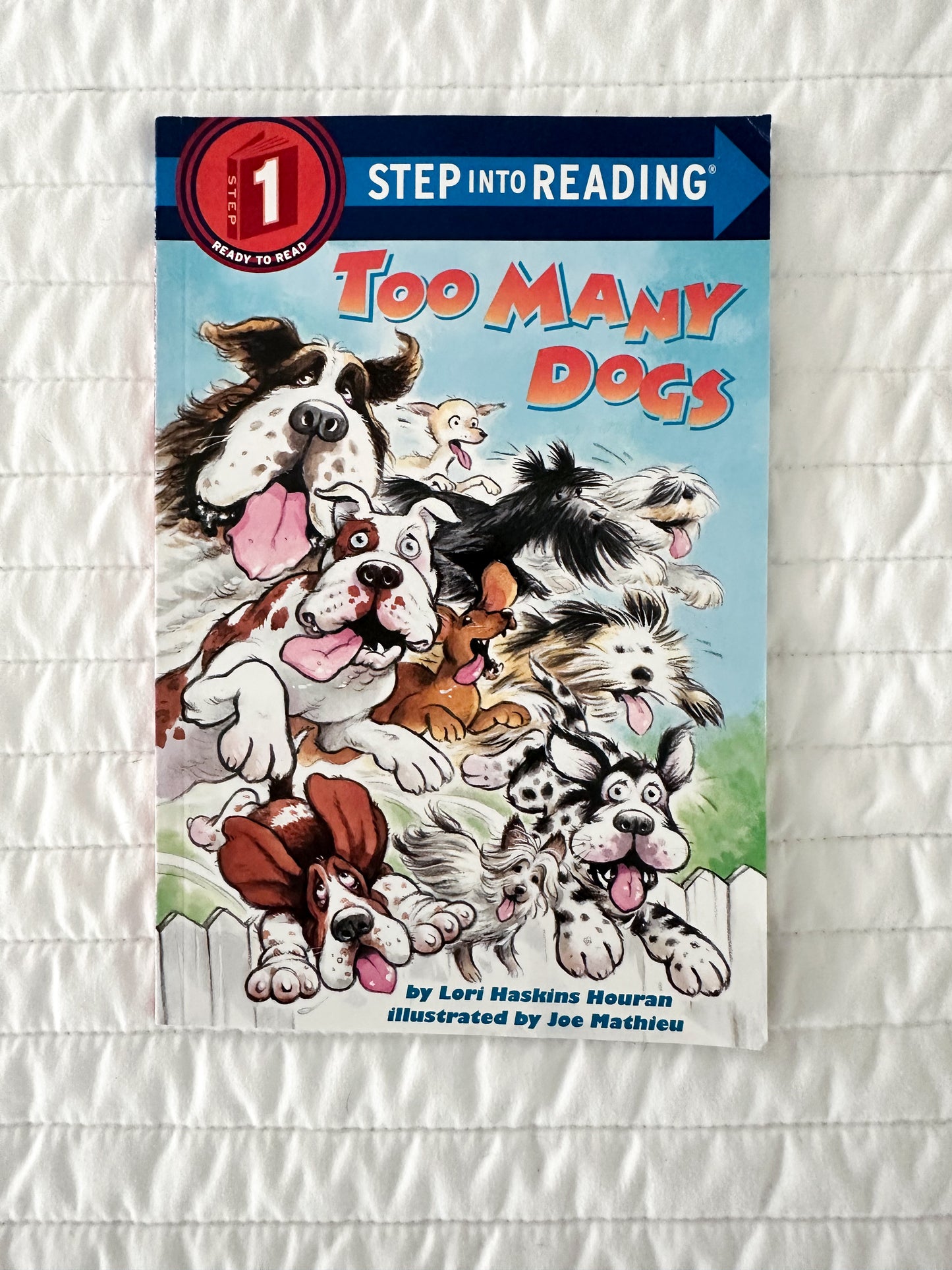 Too Many Dogs by Lori Haskins