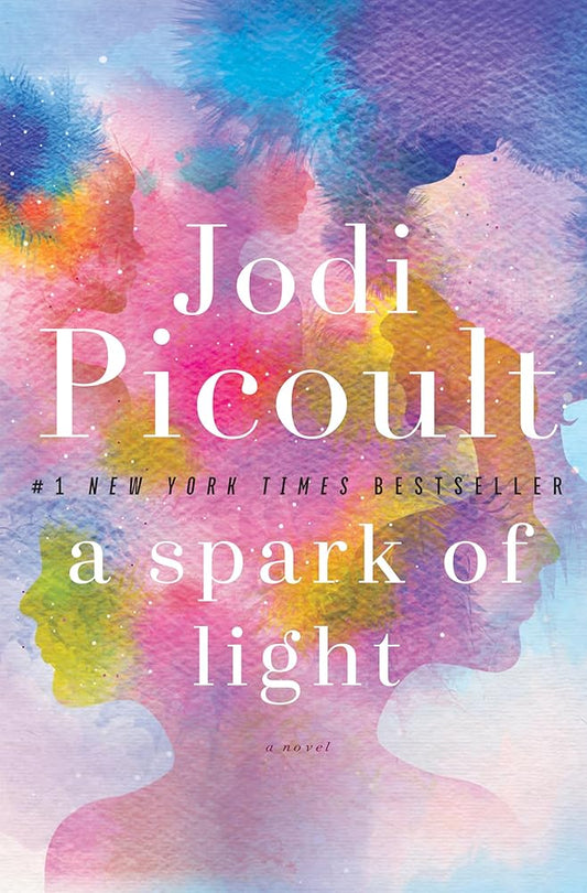 A Spark of Light: A Novel cover image