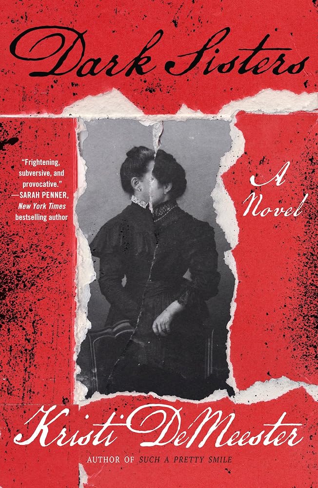 Dark Sisters: A Novel cover image