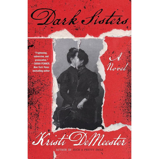 Dark Sisters: A Novel cover image