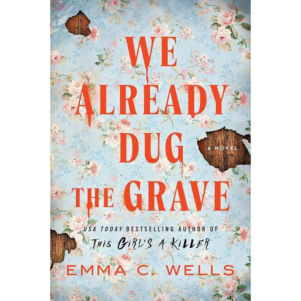 We Already Dug the Grave: A Novel cover image