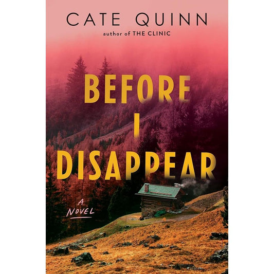 Before I Disappear: A Novel cover image