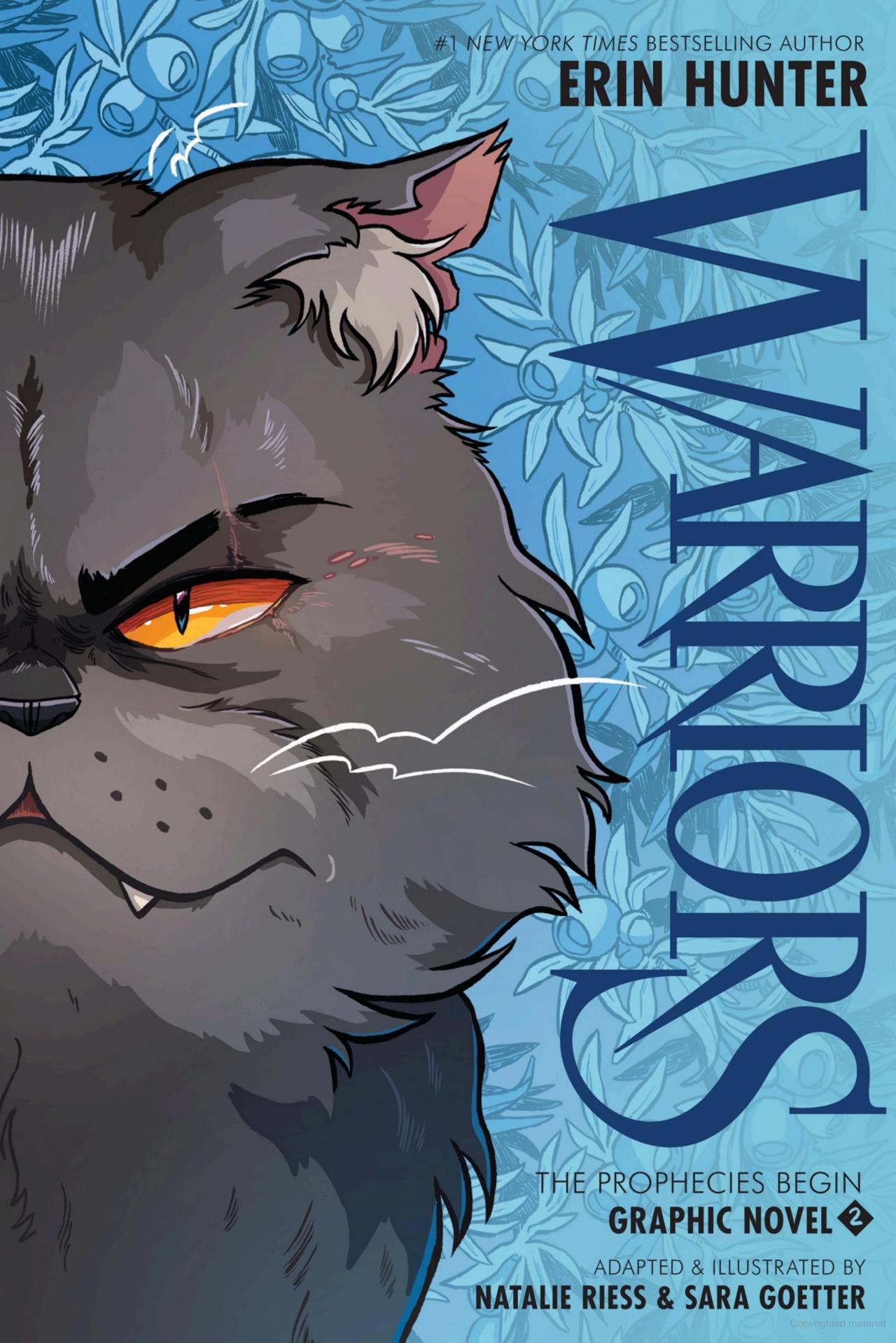 Warriors Graphic Novel: The Prophecies Begin #2
